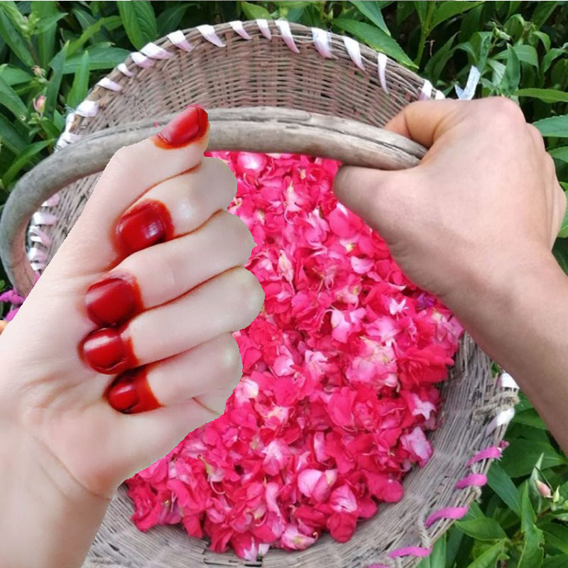 Nail Art For Men - 40g Henna tinte para uñas en